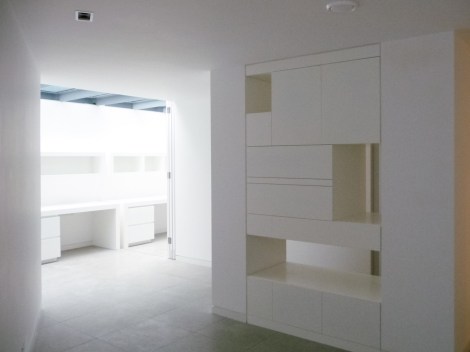 Hampstead basement extension